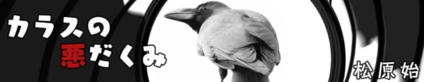 またまた番外編 歌舞伎町 そこはカラスの庭 カラスの悪だくみ 松原始 連載 考える人 新潮社