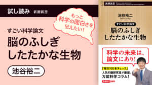 ikegaya_tameshi_icon